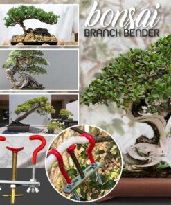 Bonsai Takkenbuiger