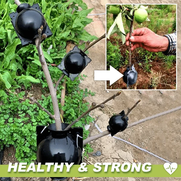 Luchtgelaagde plantenbakken 3st - Image 2