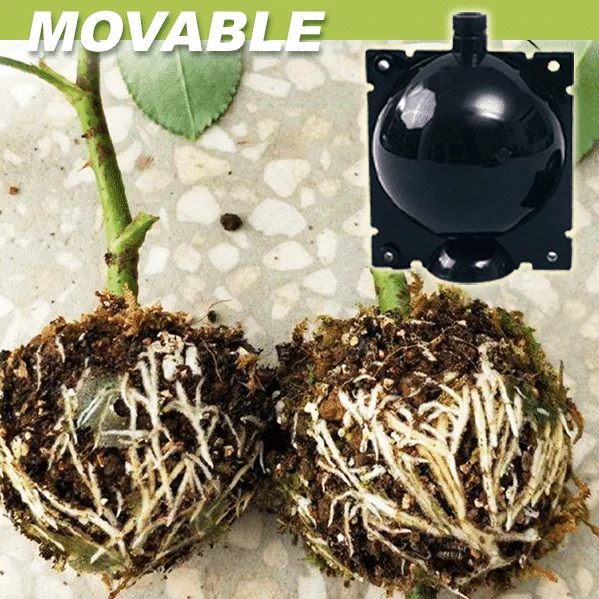 Luchtgelaagde plantenbakken 3st - Image 5