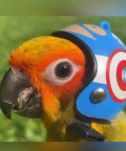 AdorBird Vogelhelm (3ST)