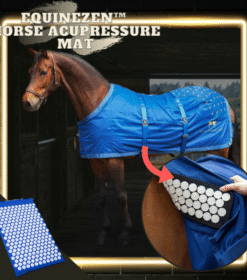 EquineZen Acupressuurmat voor paarden