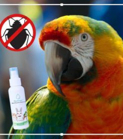 PlantGenic Vogelparasieten Verwijdering