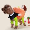 Poochy Pompoen Halloween Outfit