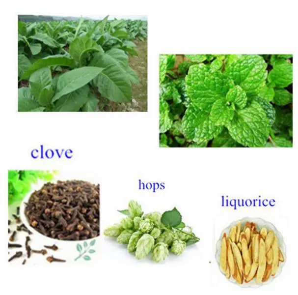 Seurico™ antirookpleister - Image 3