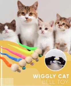 Wiggly kattenbel speelgoed